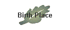 Birth Place
