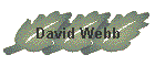 David Webb